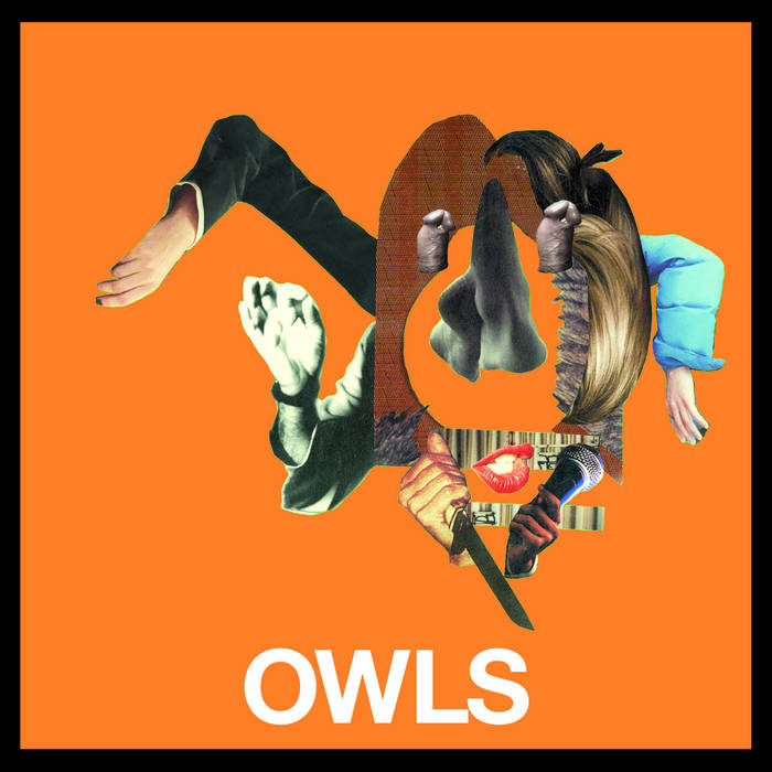 S/T | Owls