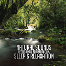 Natural Sounds of the Jungle for Meditation, Sleep & Relaxation cover art