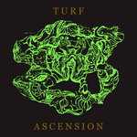 Turf Ascension [HD 24/88.2]