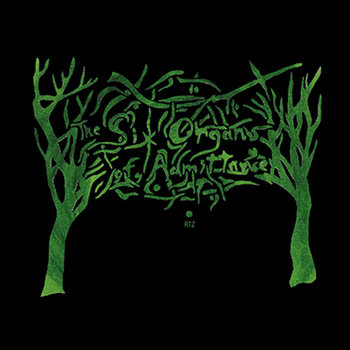 Music Six Organs of Admittance