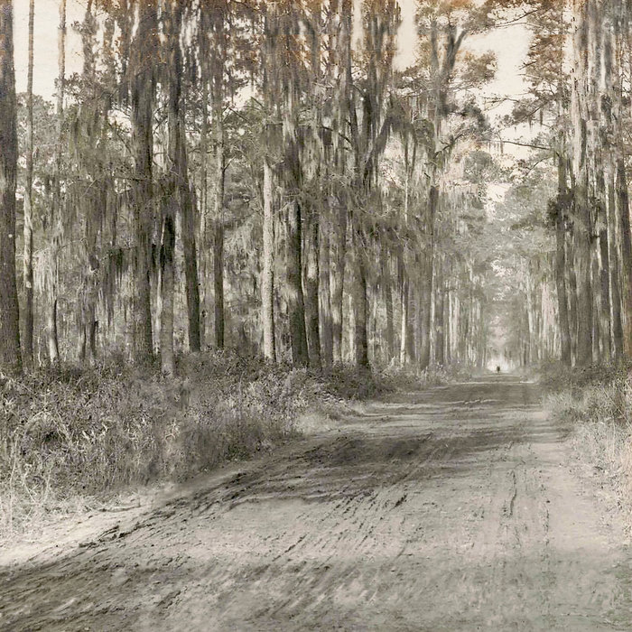 That New School Delta Blues recording of my version of the 1890's in