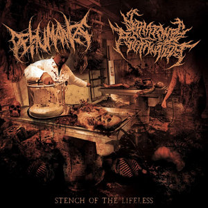 Stench Of The Lifeless cover