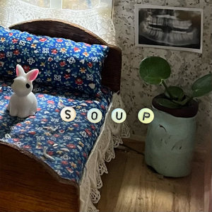 bugsy — soup