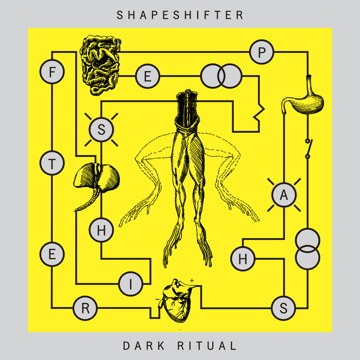 Shapeshifting Ritual UNGL-010 Shapeshifter -