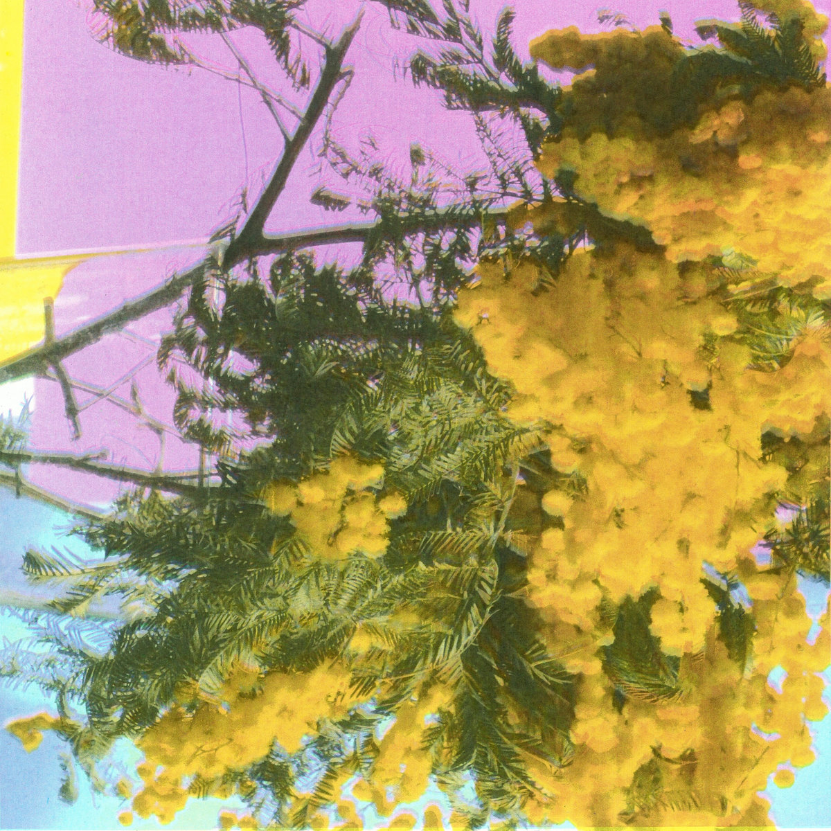Four Tet – Into Dust（Still Falling）12” Into Dust (Still Falling) | Four Tet