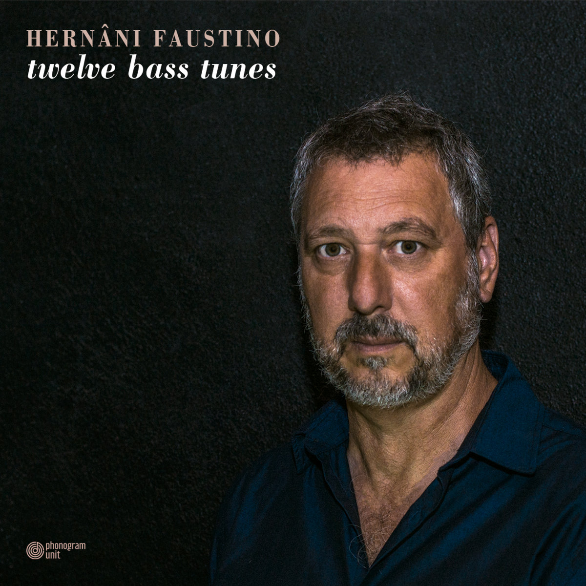 Twelve Bass Tunes — Hernâni Faustino