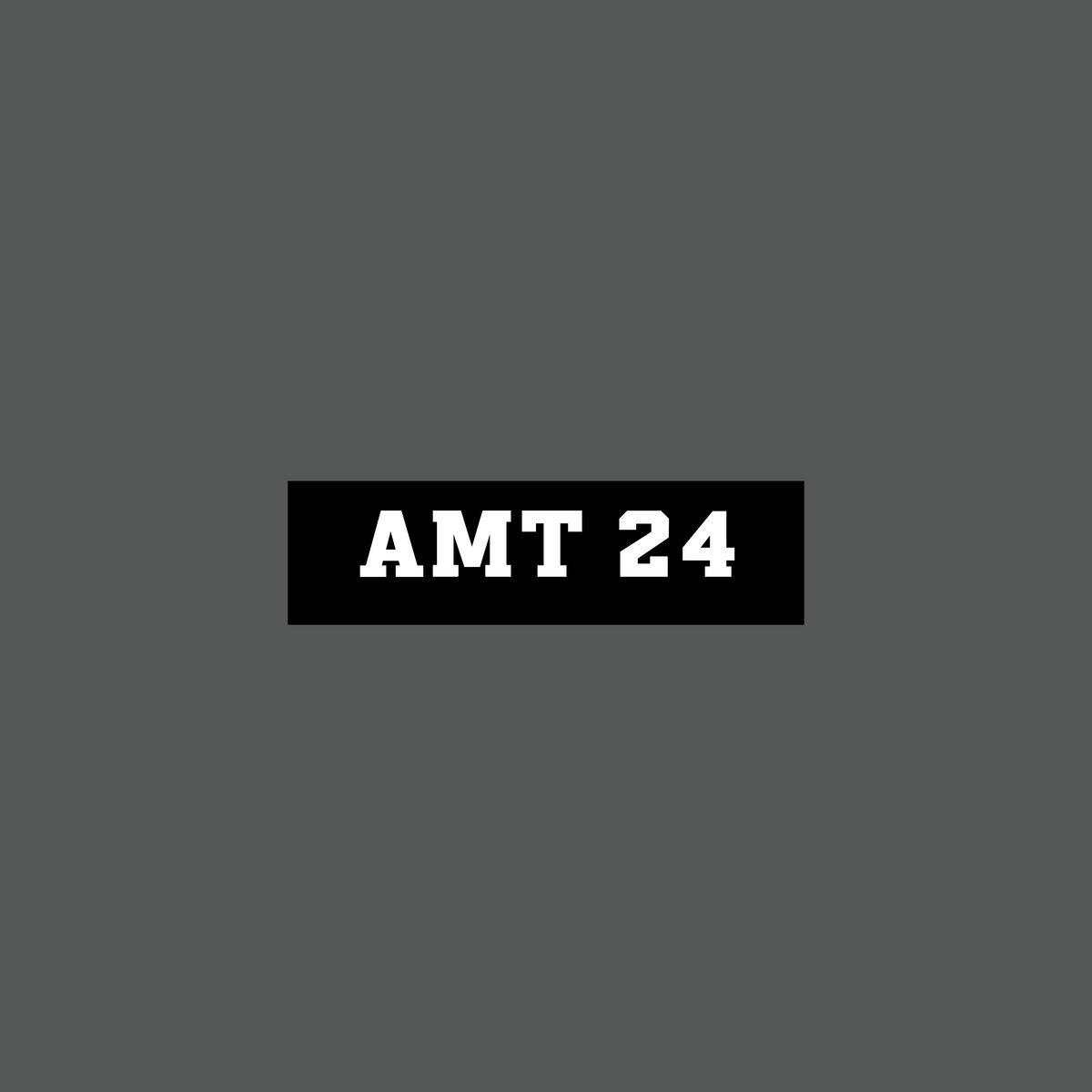 AMT24 | Acid Mothers Temple & The Melting Paraiso U.F.O.