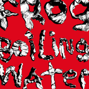 DIIV — Frog In Boiling Water