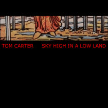 Sky High in a Low Land cover art