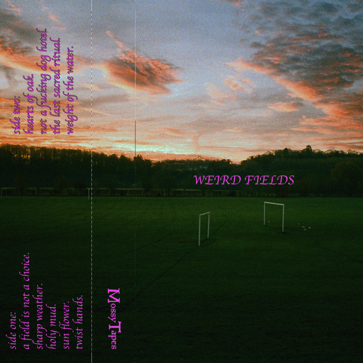 Weird Fields | Weird Fields | Mossy Tapes