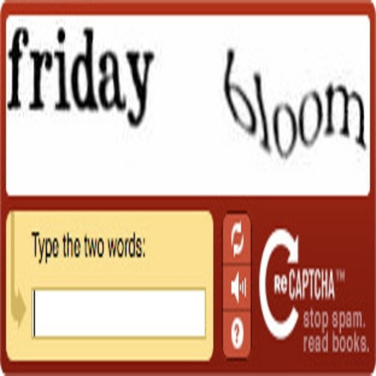 demo. | friday bloom