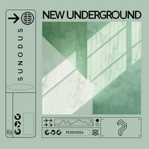 Pure Enjoyment Recording — Sunodus - New Underground