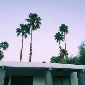 Palm Springs cover