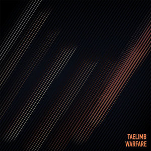 Warfare cover