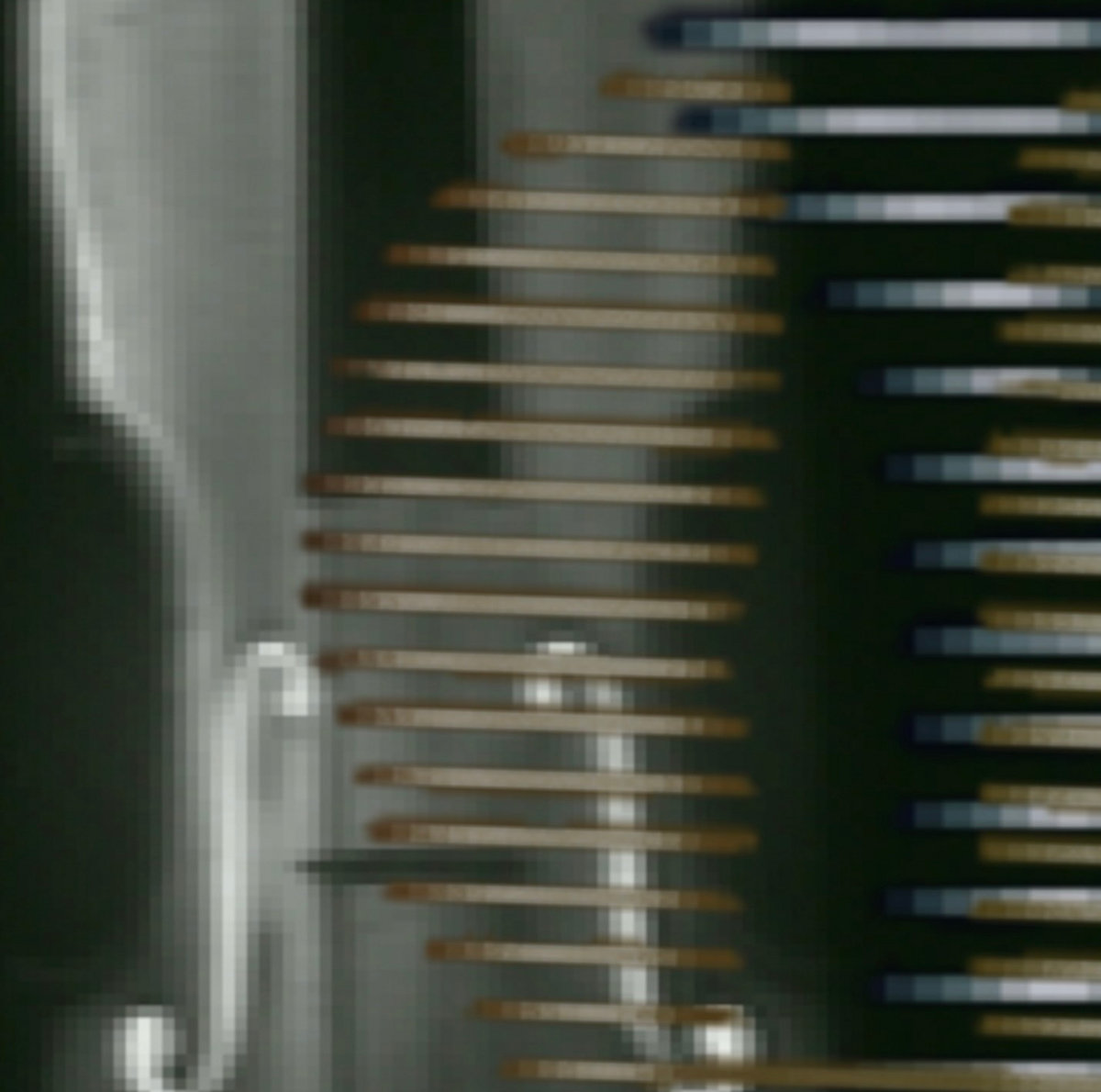 Three Rules of Discipline and Eight Points for Attention Hali Palombo