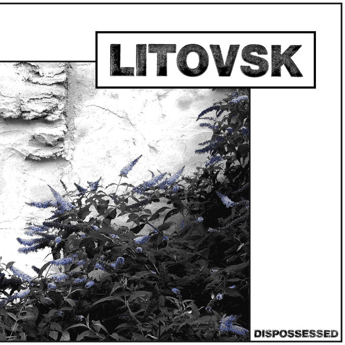 Dispossessed, by LITOVSK