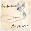 Birdfeeder Cover Art