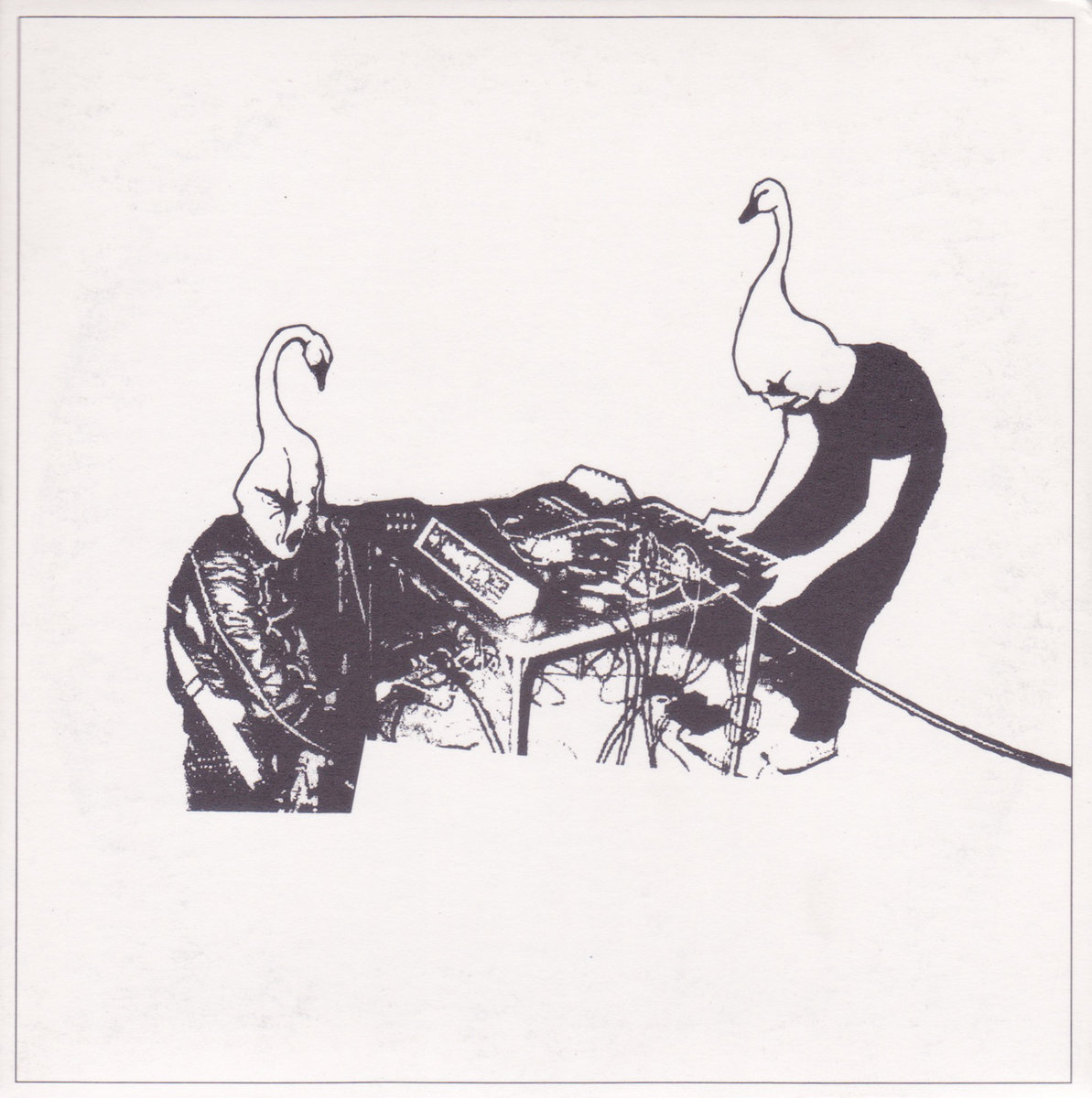 希少Swans CD まとめ 希少Swans CD まとめ 希少Swans CD まとめ 【公式通販】