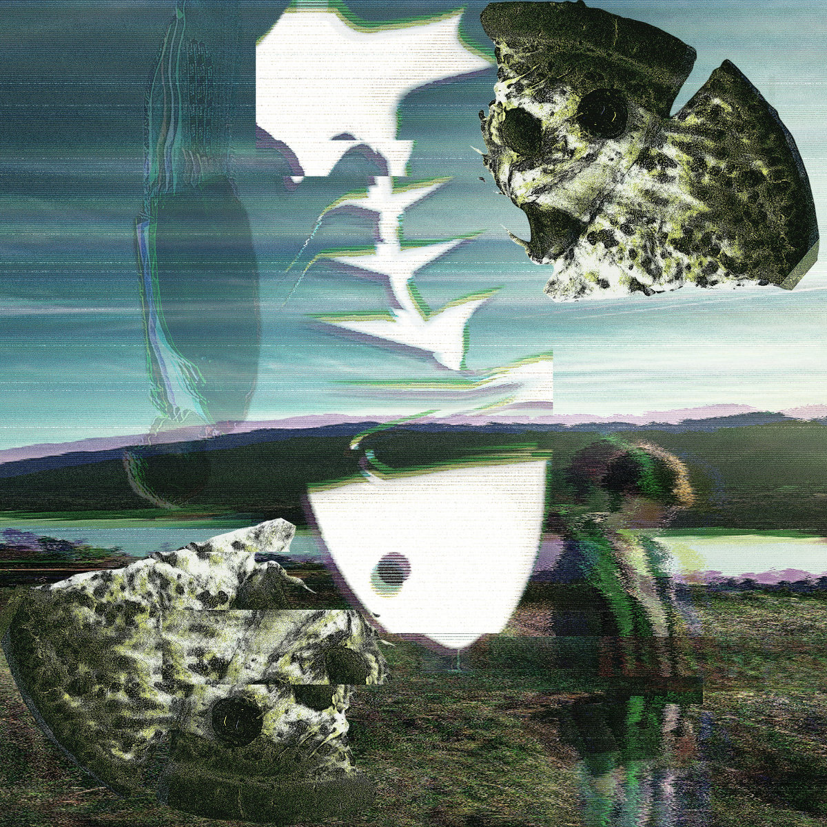 pizza fish bones thomas