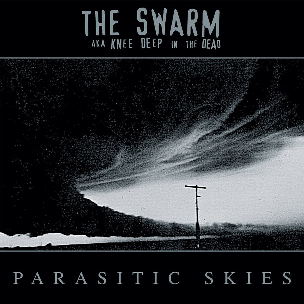 Parasitic Skies | THE SWARM a/k/a Knee Deep In The Dead | No Idea