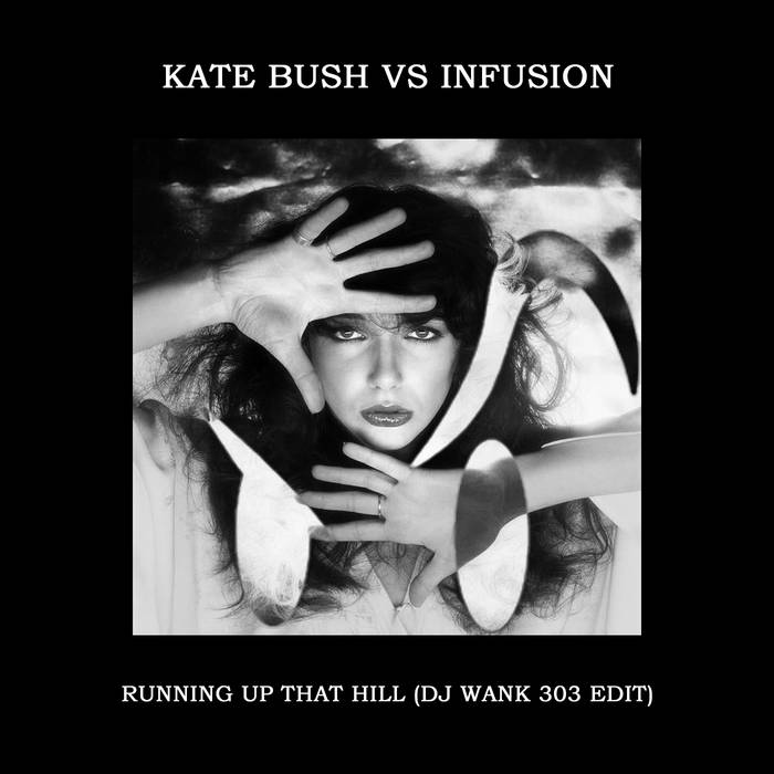 Running Up That Hill (DJ Wank 303 Edit) | Kate Bush Vs Infusion