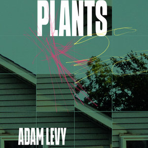 Plants cover