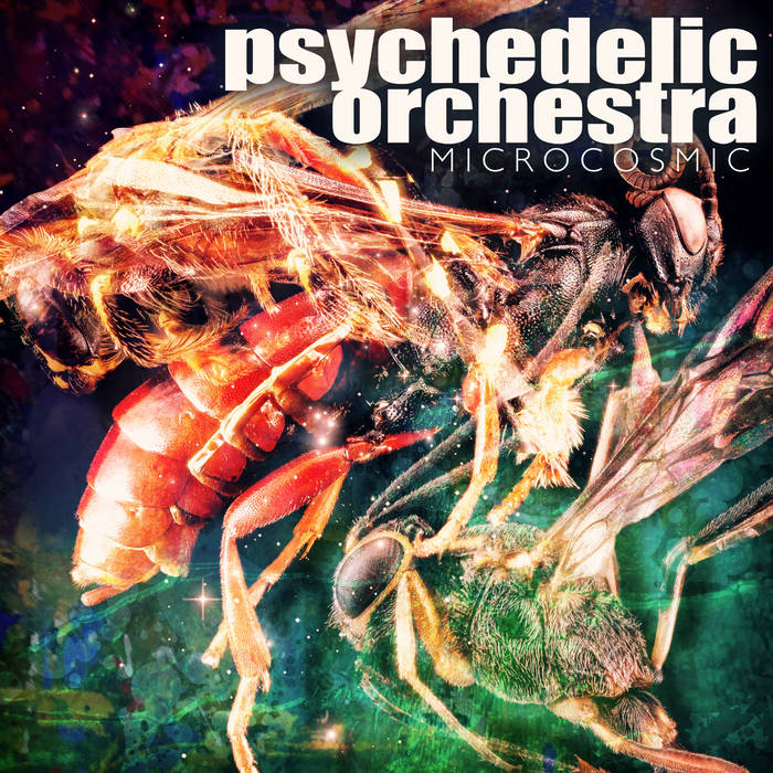 邦楽 psychedelic orchestra sang real SF Symphony Contrasts Mozart's Vivacity and Bruckner's Magnitude