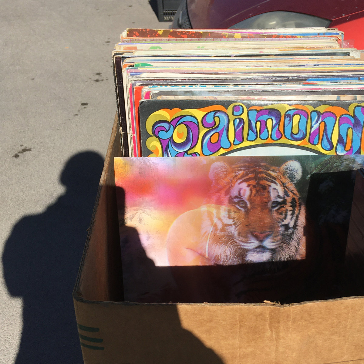 Accidental Transmissions Michael Holland JC Decaux