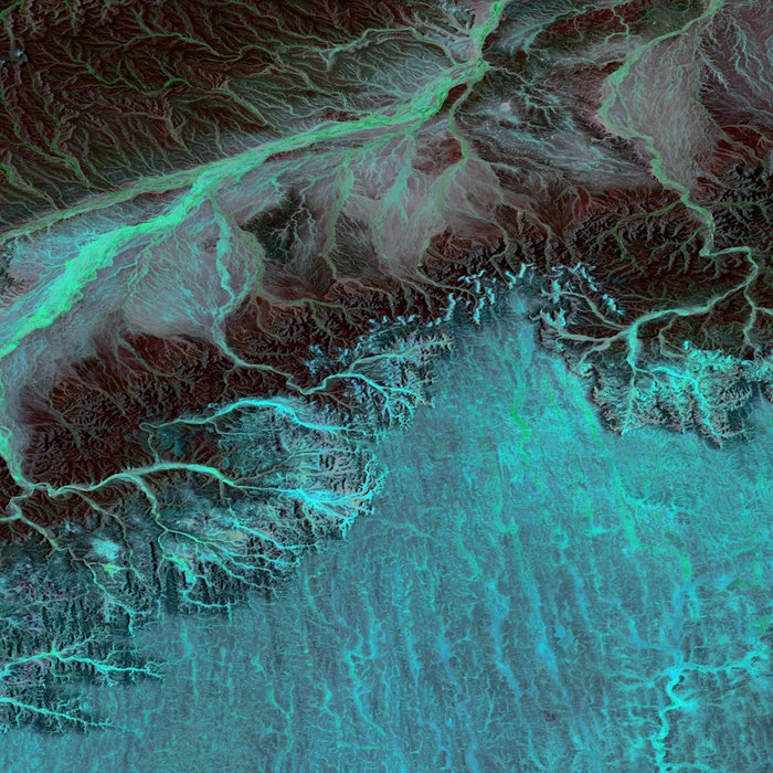 Liminal Realities Rambutan