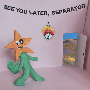 See You Later, Separator cover