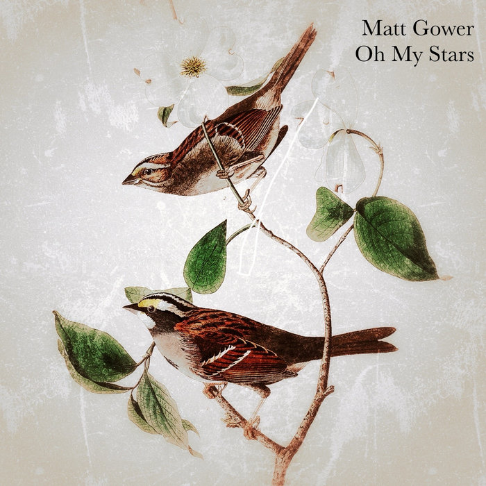 Oh My Stars | Matt Gower