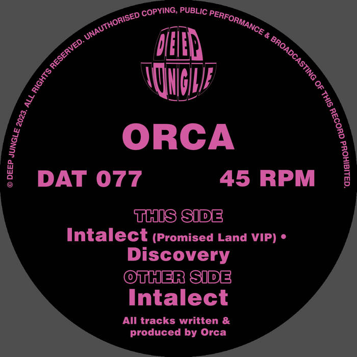 DAT077 Orca - Intalect / Promised Land VIP / Discovery | Orca