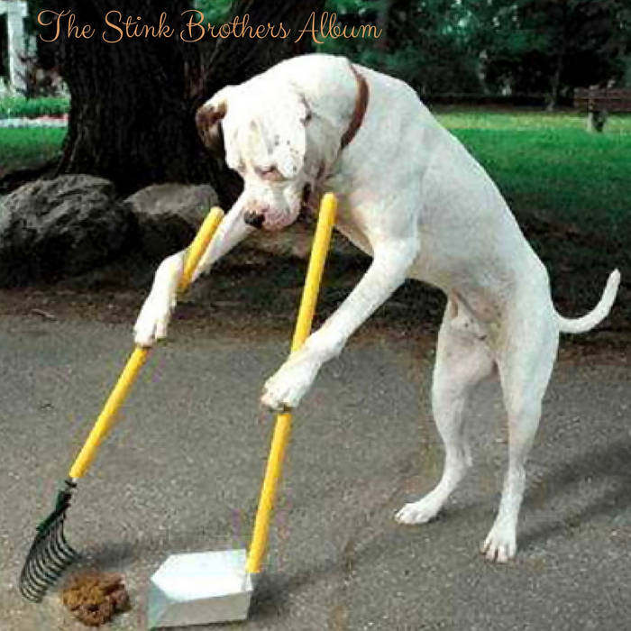 White dog cheap poo