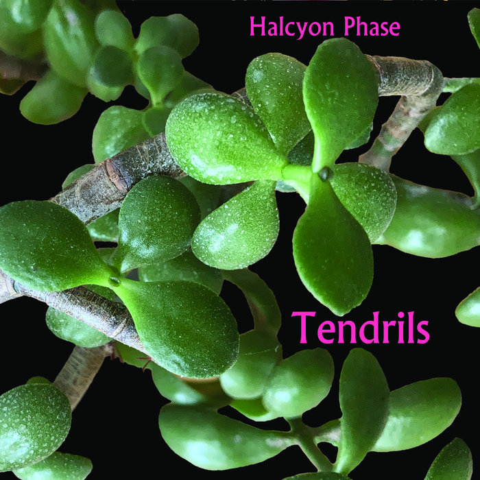 Tendrils Halcyon Phase