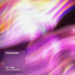 Ric Rodrigues - Get Funky