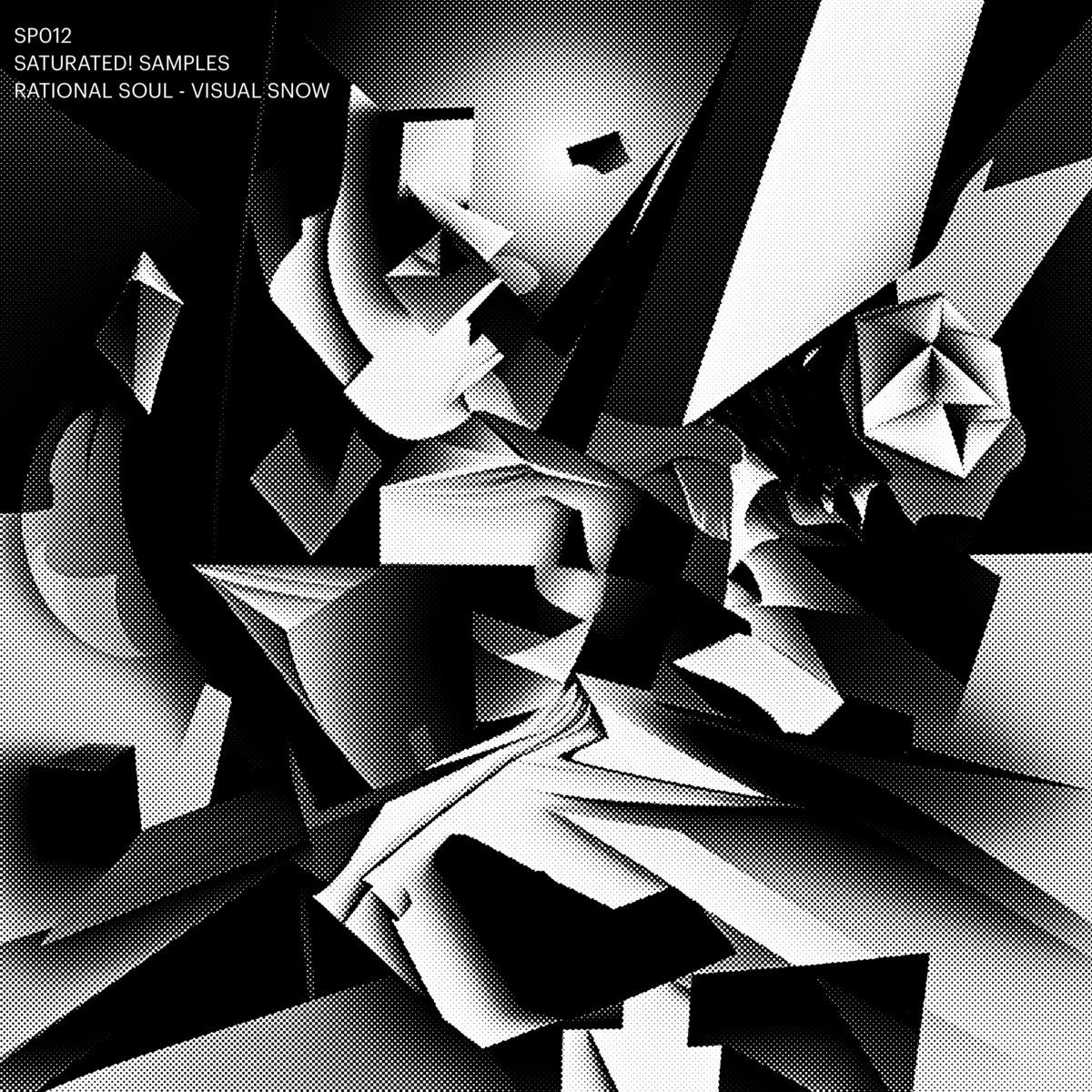 Visual Snow (Sample Pack) RATIONAL SOUL SATURATED! SAMPLES