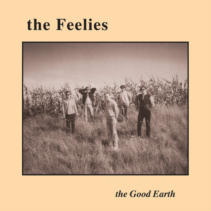 Two Rooms, by The Feelies