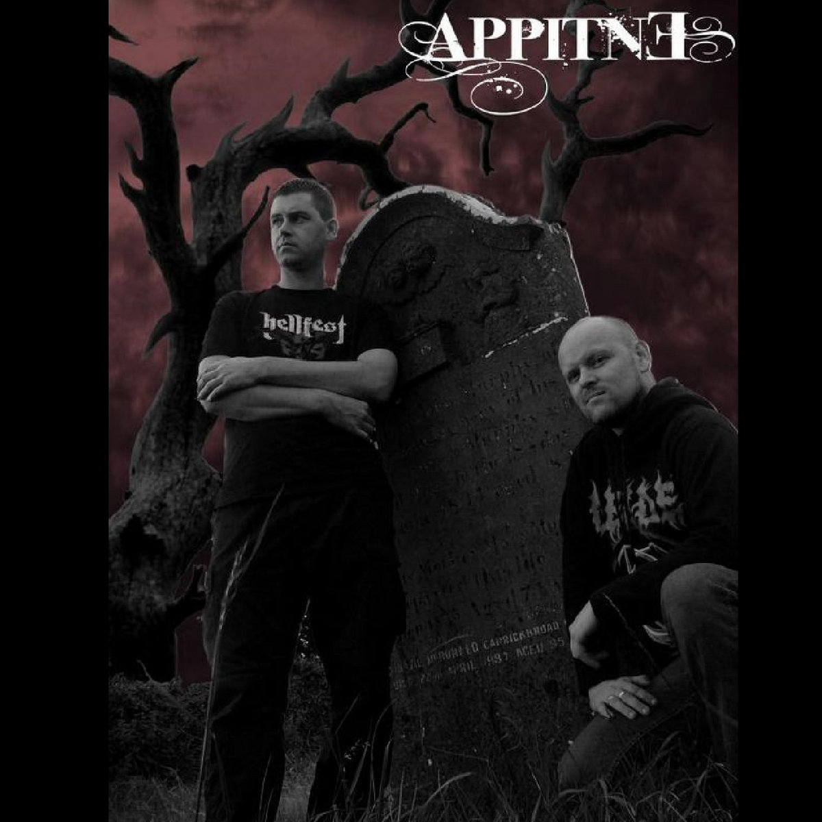 APPITNE - Demos (2001-2013) cover