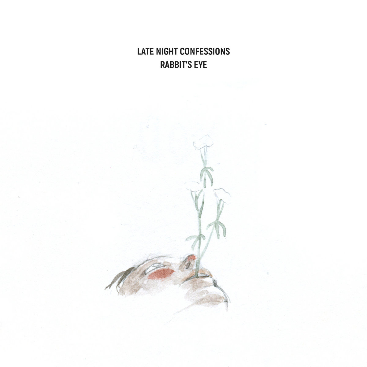 Late Night Confessions | Rabbit's Eye | FPE Records