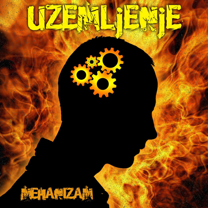 Hvala na pažnji | UZEMLjENjE