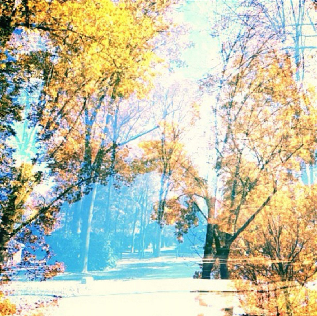 ii, iv Ian Pritchard collector//emitter