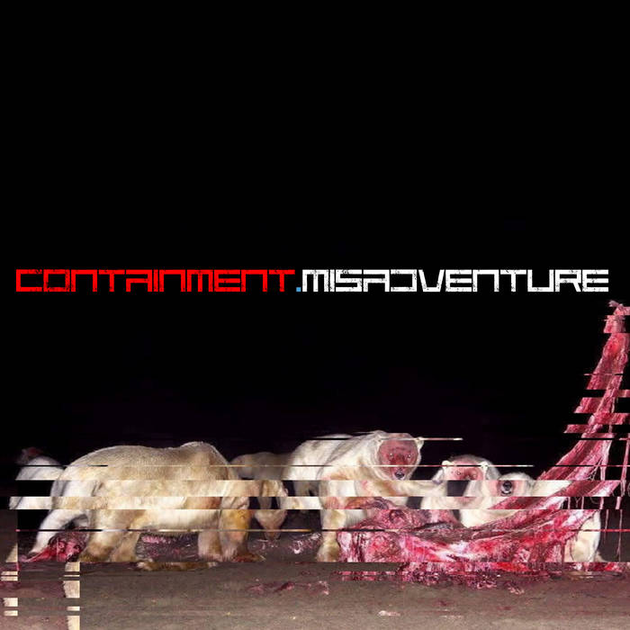 Misadventure by Containment cover art