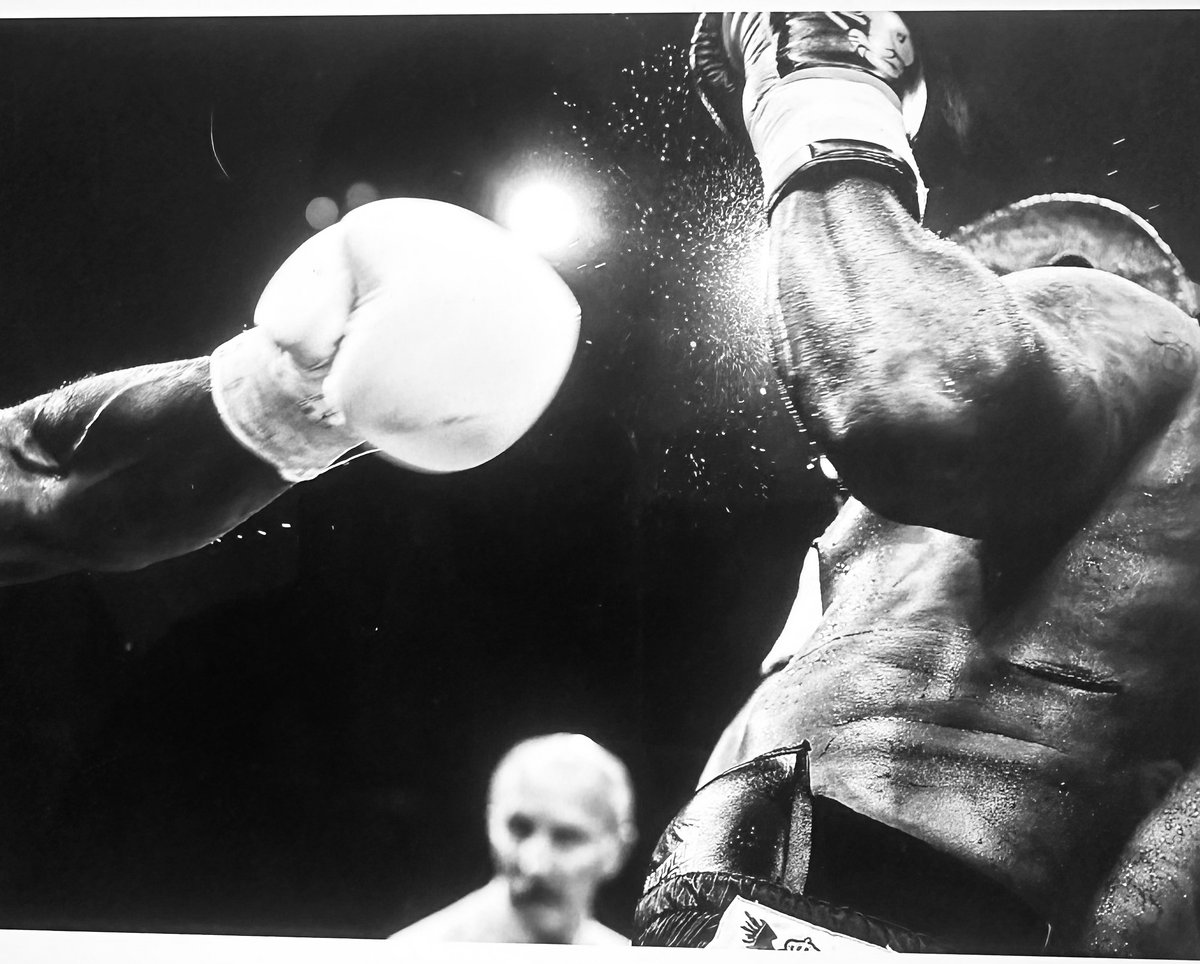 haymaker | Sad Boxer