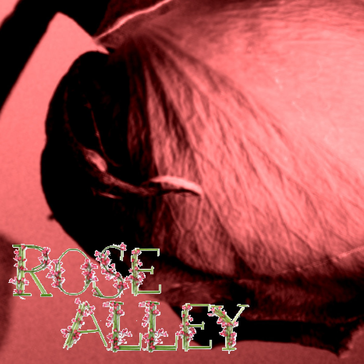 Rose Alley Rose Alley