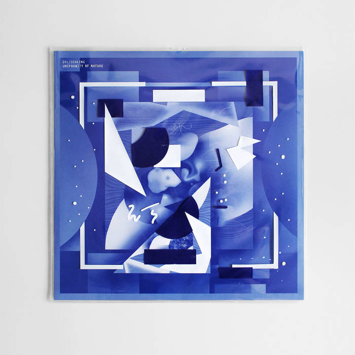 THE SKULL DISK NATURE TONES x DAMNGOOD!! Rekords - Hip Hop Vinyl