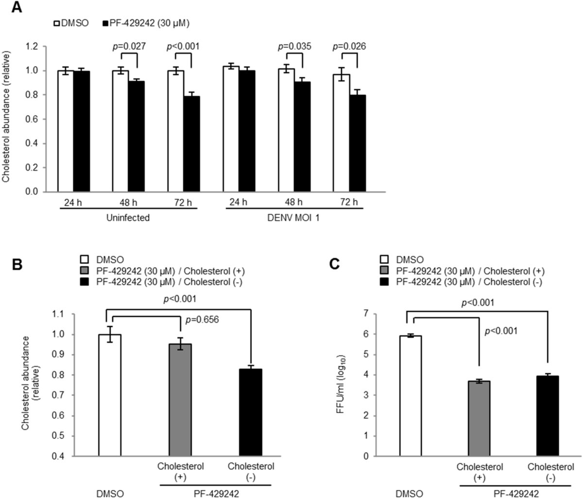 What is Fitbit Labs visual data 2