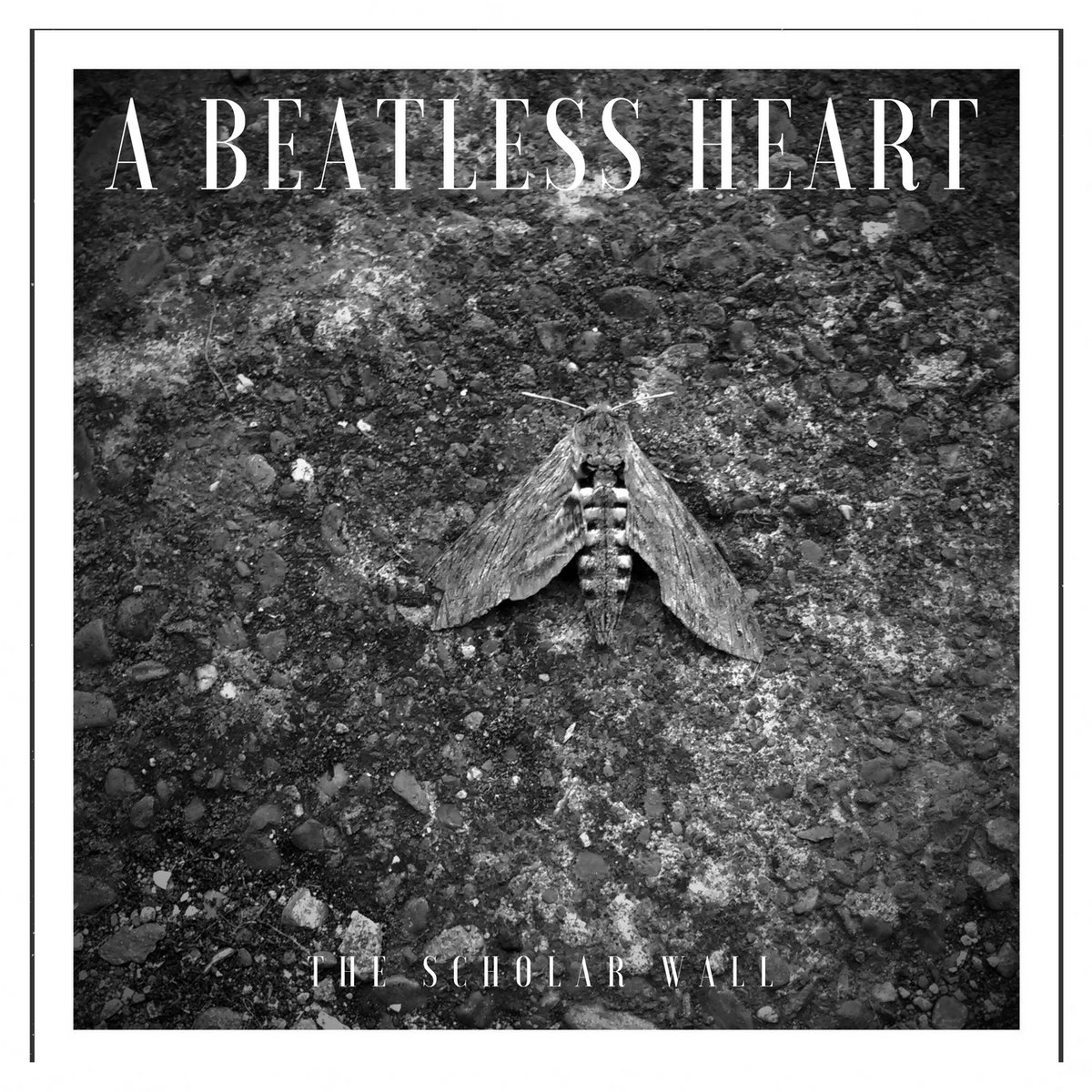 A Beatless Heart cover