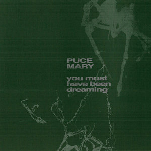 You Must Have Been Dreaming cover