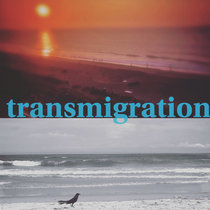 transmigration (beachcop final season soundtrack) cover art