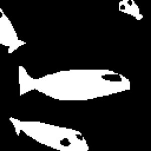 eyeless fish cover